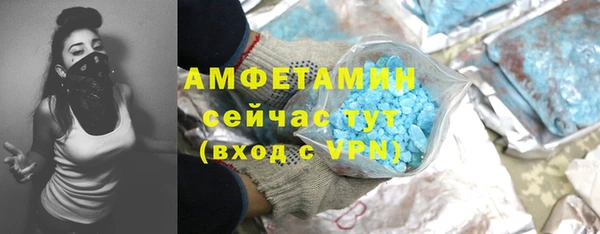 ГАЛЛЮЦИНОГЕННЫЕ ГРИБЫ Покачи