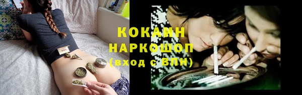 молекула духа Пересвет