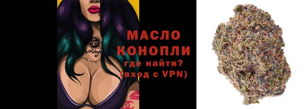 гашик Покровск