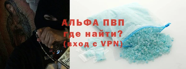 молекула духа Пересвет