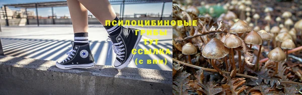 ГАЛЛЮЦИНОГЕННЫЕ ГРИБЫ Покачи